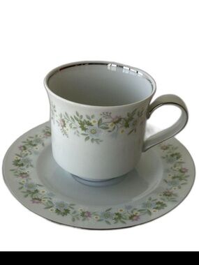 JOHANN HAVILAND Forever Spring Cup and Saucer Set Bavaria Germany Fine China VTG